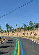 蘇州道路劃線反光漆多少錢(qián)一個(gè)平方？